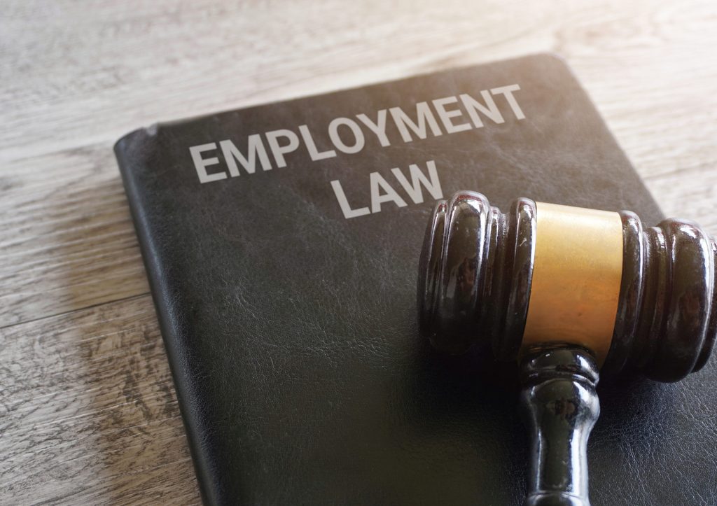 Employment-Litigation-Braun-Kendrick