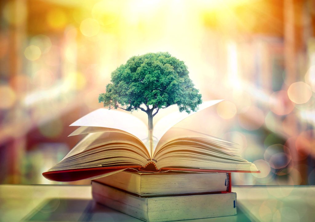 environmental-law